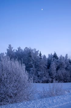 russian winter