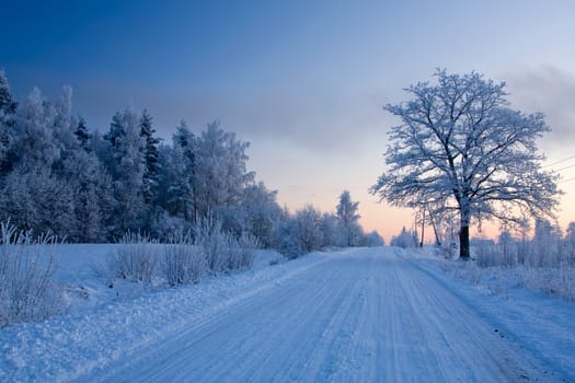 russian winter