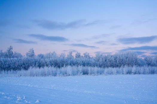 russian winter