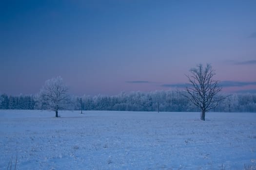 russian winter