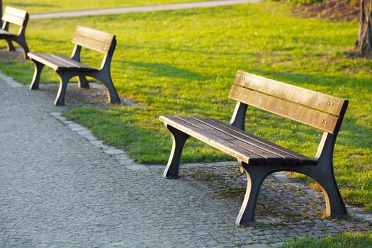 wooden bench in the park    