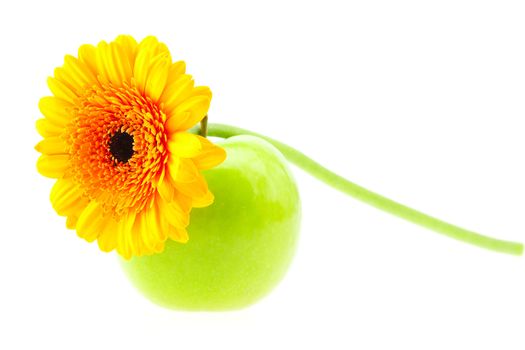 flower and apple isolated on white