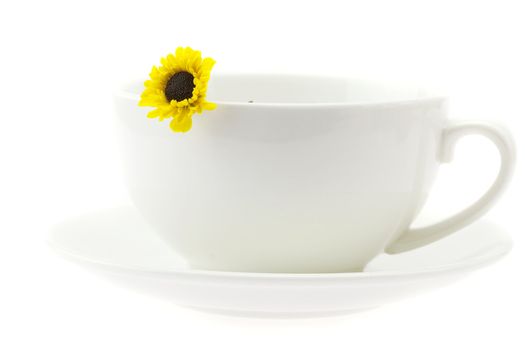 white cup and a flower isolated on white