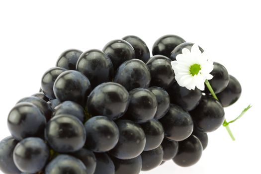 bunch of grapes and a flower isolated on white