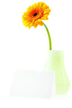 card and a flower in a vase isolated on white