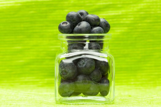 blueberries in the bank on a green background