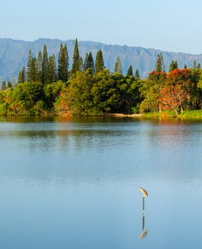 Bird perches on sign in blue lake reflecting flowers with Na Pali mountains in Kauai in background