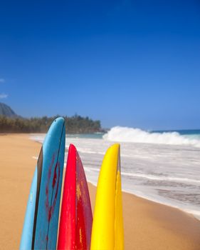 TIps of surf board or surfboards at Lumahai beach in Kauai Hawaii on sandy shore by ocean