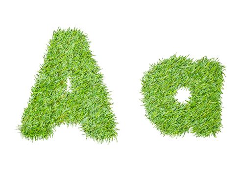 Alphabet from the green grass. isolated on white