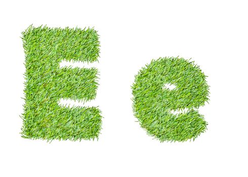 Alphabet from the green grass. isolated on white