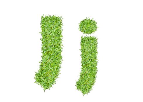 Alphabet from the green grass. isolated on white