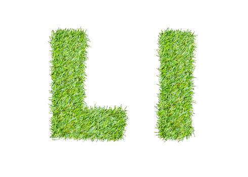 Alphabet from the green grass. isolated on white