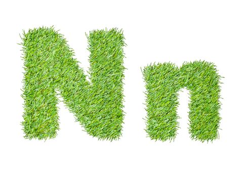 Alphabet from the green grass. isolated on white