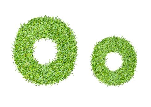 Alphabet from the green grass. isolated on white