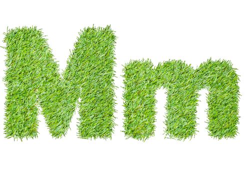 Alphabet from the green grass. isolated on white