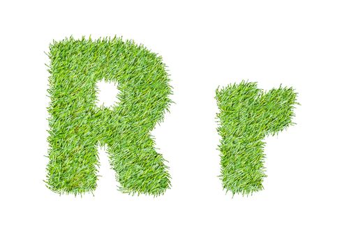 Alphabet from the green grass. isolated on white
