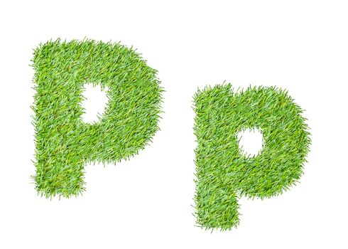 Alphabet from the green grass. isolated on white