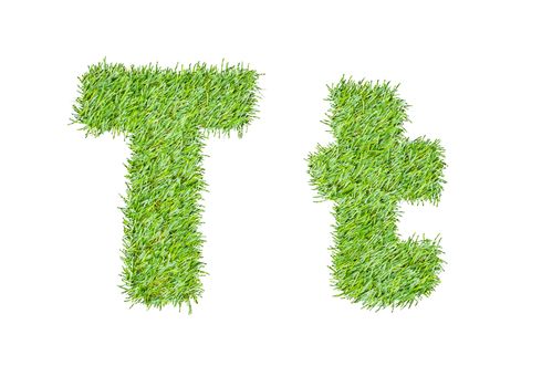 Alphabet from the green grass. isolated on white