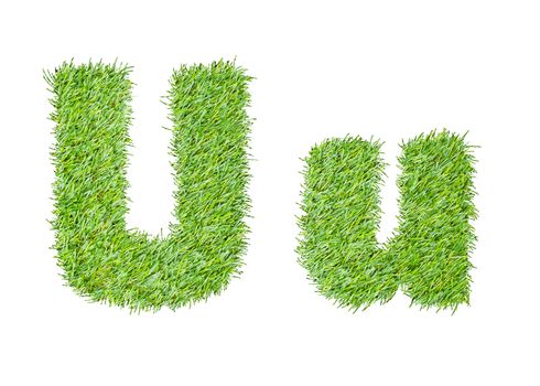 Alphabet from the green grass. isolated on white