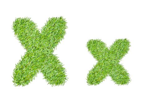 Alphabet from the green grass. isolated on white