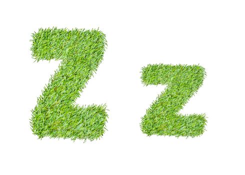 Alphabet from the green grass. isolated on white