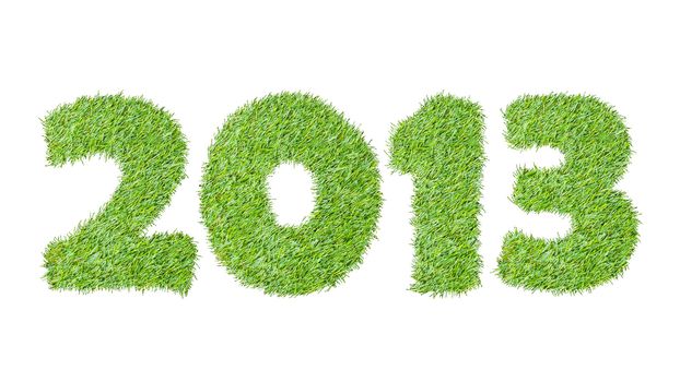 New year 2013 from the green grass, isolated on white