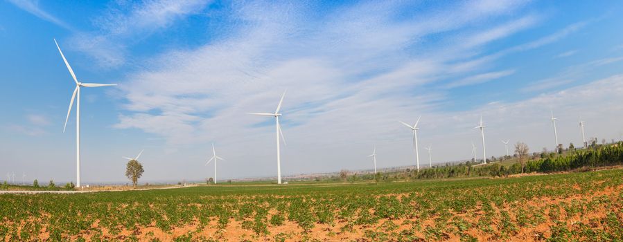 Eco power, wind turbines field panorama