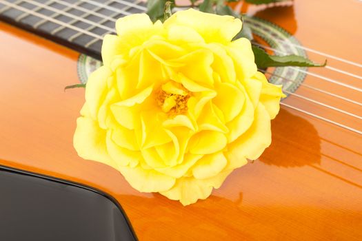 Beautiful rose on guitar