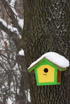 Bird house yellow, green, brown coloured in winter