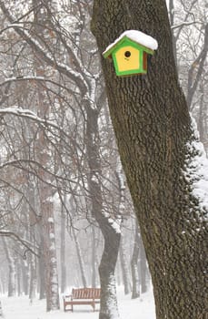 Birdhouse and bench in winter, trees, snowfall