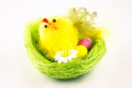 Easter chick