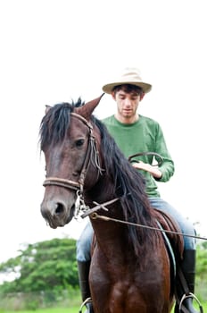 Horses and riders on a farm in Ecuador