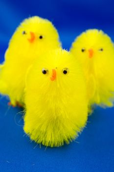 Easter chick