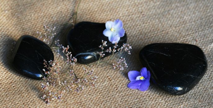 Spa black stones with lilac flowers on sackcloth background