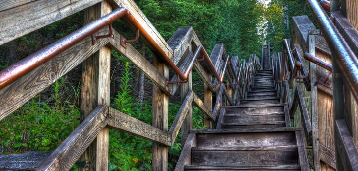 HDR of a long stairway through the forest.