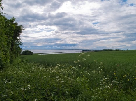 Lush fertile green fields with calm sea landscape nature background image