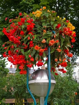 Pole with blooming flower street pot  Tivoli Gardens Copenhagen Denmark