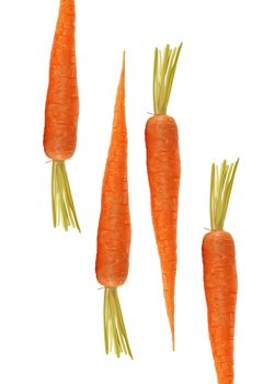 fresh carrots isolated on white