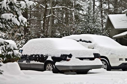 Cars covered with snow, unable to be used.