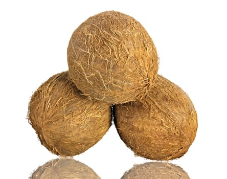 coconut