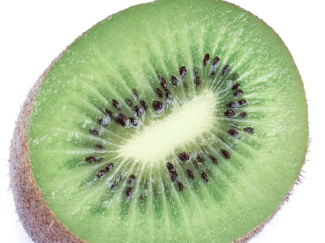 Kiwi isolated