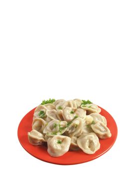 Russian national ravioli with dill on a plate