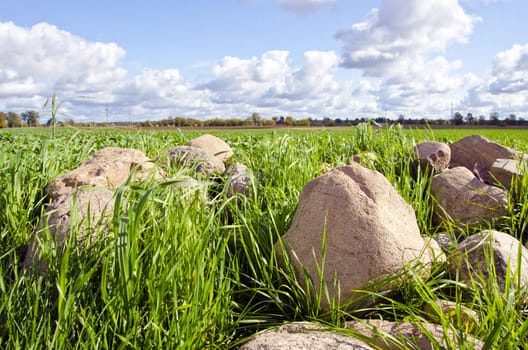 Stones stacked in pile tends to form grass surrounded by agricultural fields.