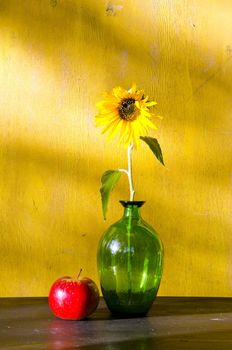 Sunflower in glass vase and red apple. Still life.