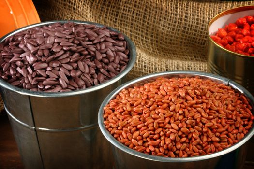 colored  sowing seeds in metal bucket close up