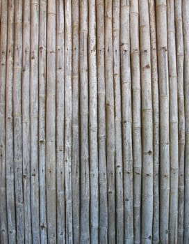 old bamboo panel background