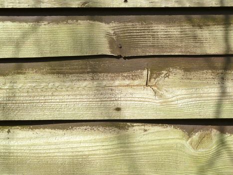 weathered wood panels in bright light