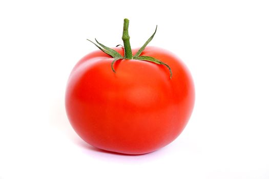 A single red tomato. All isolated on white background.