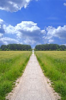 A wide open footpath on a shiny bright day.