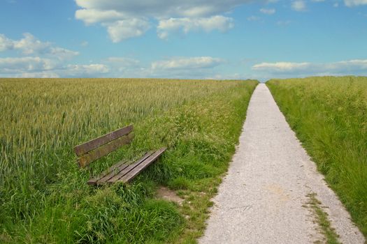 A wide open footpath on a shiny bright day.